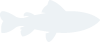 齐发国际
