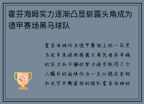 霍芬海姆实力逐渐凸显崭露头角成为德甲赛场黑马球队